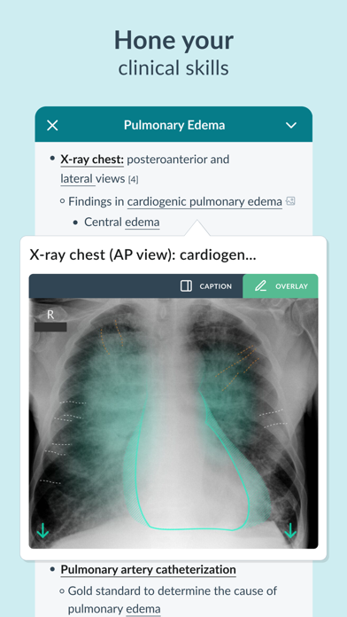 AMBOSS Medical Knowledge