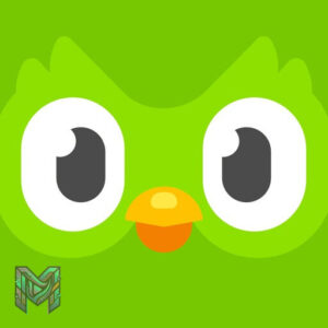 تطبيق Duolingo: Language Lessons — دليلك الكامل