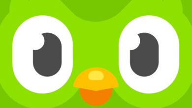 تطبيق Duolingo: Language Lessons — دليلك الكامل