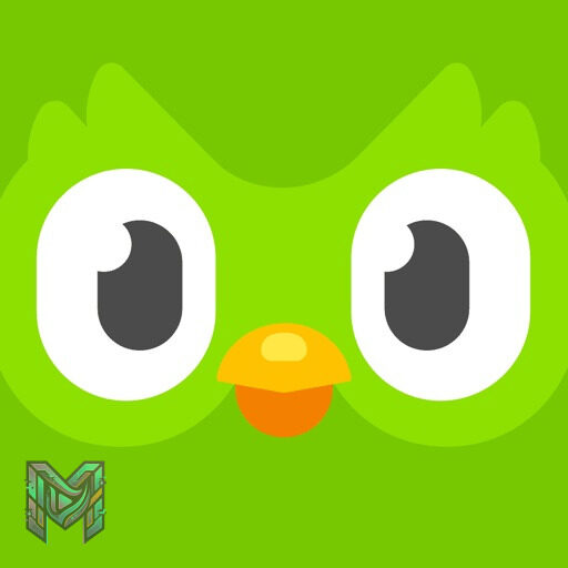 تطبيق Duolingo: Language Lessons — دليلك الكامل