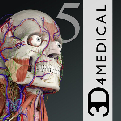 تطبيق Essential Anatomy 5 — نظرة تفصيلية