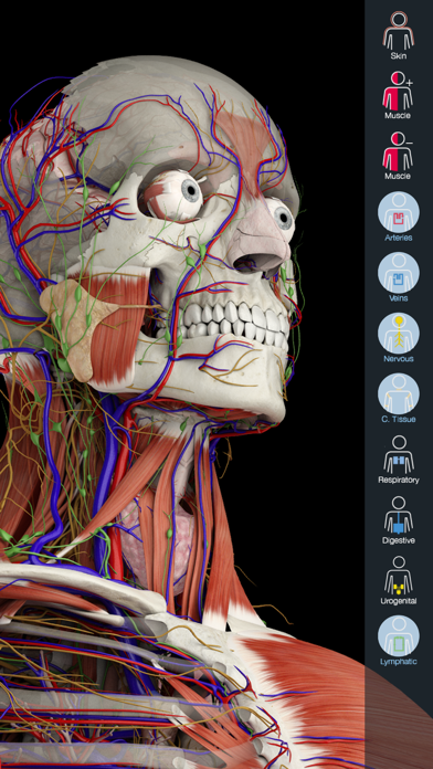 تطبيق Essential Anatomy 5 — نظرة تفصيلية
