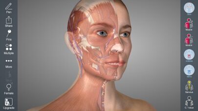 تطبيق Essential Anatomy 5 — نظرة تفصيلية