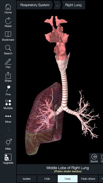تطبيق Essential Anatomy 5 — نظرة تفصيلية