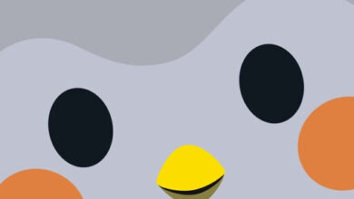 تطبيق Finch: Self-Care Pet — شرح المميزات والاستخدام