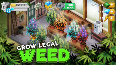 Hempire - Weed Growing Game