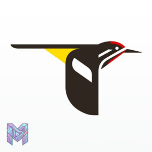 تطبيق Merlin Bird ID by Cornell Lab — كل ما تريد معرفته