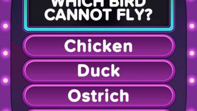 لعبة Trivia Star: Trivia Games Quiz — مراجعة ودليل اللاعب