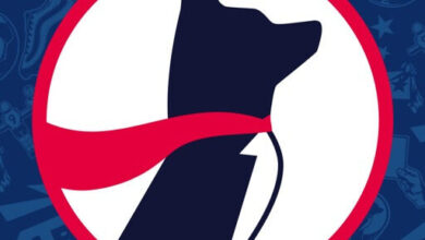 لعبة Underdog Sports — كل ما تريد معرفته