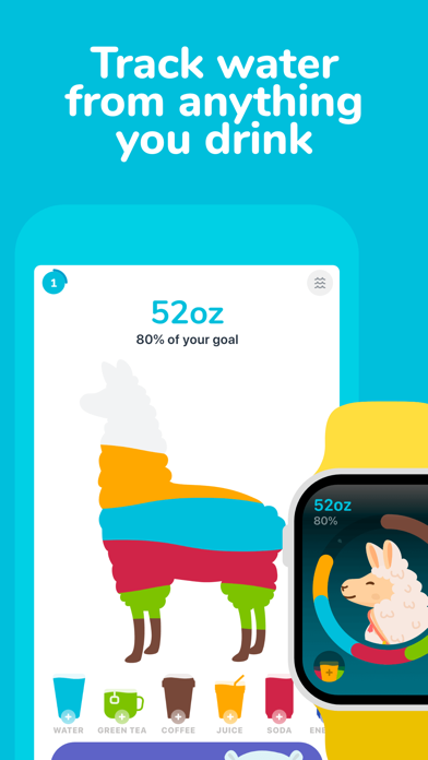 تطبيق Water tracker Waterllama — نظرة تفصيلية