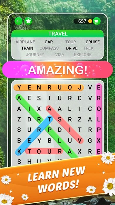 Word Search Explorer®